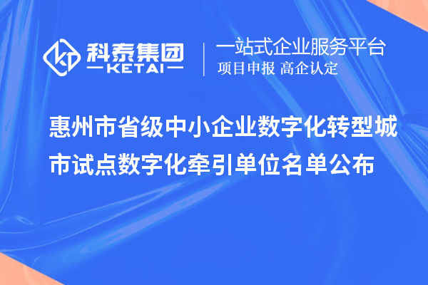 惠州市省級中小企業(yè)數(shù)字化轉(zhuǎn)型城市試點(diǎn)數(shù)字化牽引單位名單公布