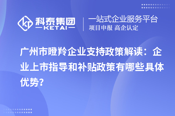 廣州市瞪羚企業(yè)支持政策解讀：企業(yè)上市指導和補貼政策有哪些具體優(yōu)勢？