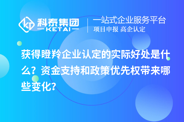 獲得瞪羚企業(yè)認定的實際好處是什么？資金支持和政策優(yōu)先權(quán)帶來哪些變化？