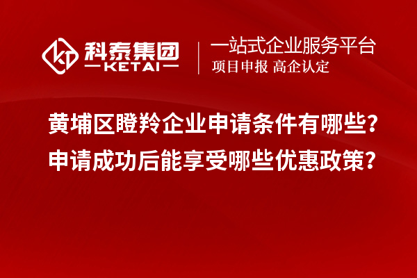 黃埔區(qū)瞪羚企業(yè)申請條件有哪些？申請成功后能享受哪些優(yōu)惠政策？
