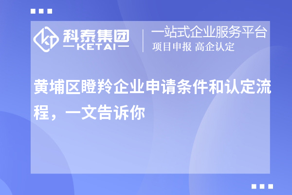 黃埔區(qū)瞪羚企業(yè)申請條件和認定流程，一文告訴你