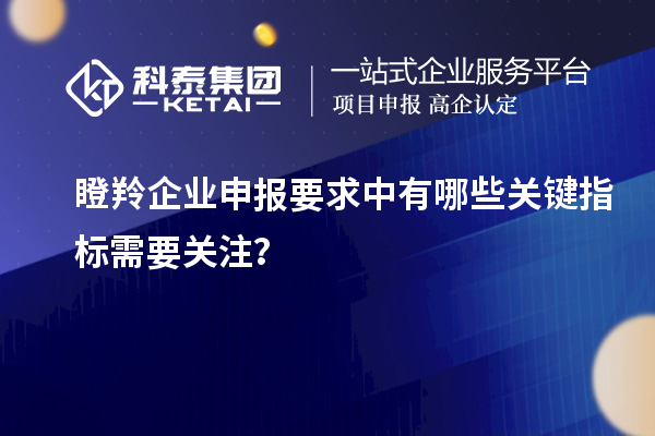 瞪羚企業(yè)申報要求中有哪些關鍵指標需要關注？