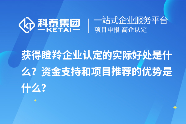 獲得瞪羚企業(yè)認(rèn)定的實(shí)際好處是什么？資金支持和項(xiàng)目推薦的優(yōu)勢(shì)是什么？