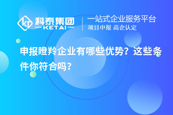 申報(bào)瞪羚企業(yè)有哪些優(yōu)勢(shì)？這些條件你符合嗎？