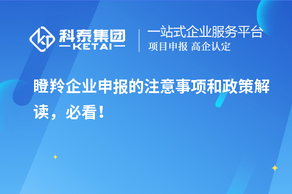 瞪羚企業(yè)申報(bào)的注意事項(xiàng)和政策解讀，必看！