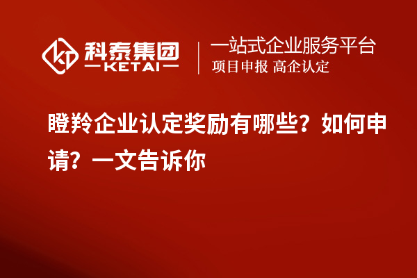瞪羚企業(yè)認(rèn)定獎(jiǎng)勵(lì)有哪些？如何申請(qǐng)？一文告訴你