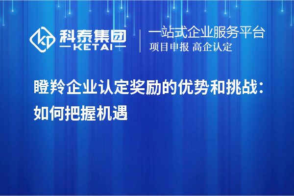 瞪羚企業(yè)認(rèn)定獎(jiǎng)勵(lì)的優(yōu)勢(shì)和挑戰(zhàn)：如何把握機(jī)遇