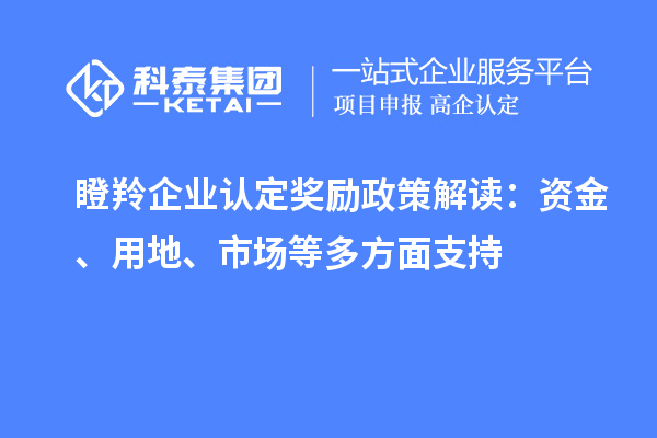瞪羚企業(yè)認(rèn)定獎(jiǎng)勵(lì)政策解讀：資金、用地、市場(chǎng)等多方面支持