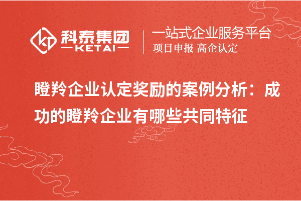 瞪羚企業(yè)認(rèn)定獎(jiǎng)勵(lì)的案例分析：成功的瞪羚企業(yè)有哪些共同特征
