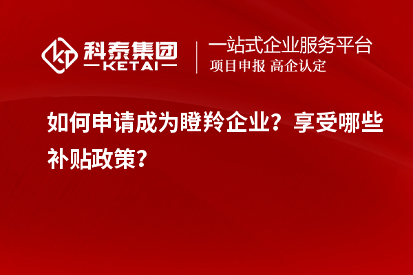 如何申請(qǐng)成為瞪羚企業(yè)？享受哪些補(bǔ)貼政策？