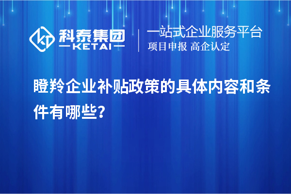 瞪羚企業(yè)補(bǔ)貼政策的具體內(nèi)容和條件有哪些？