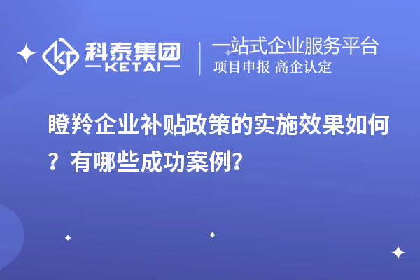 瞪羚企業(yè)補(bǔ)貼政策的實(shí)施效果如何？有哪些成功案例？