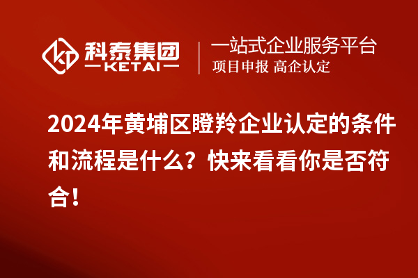 2024年黃埔區(qū)瞪羚企業(yè)認(rèn)定的條件和流程是什么？快來看看你是否符合！