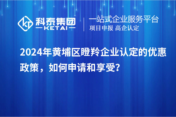 2024年黃埔區(qū)<a href=http:///fuwu/dengling.html target=_blank class=infotextkey>瞪羚企業(yè)認(rèn)定</a>的優(yōu)惠政策，如何申請(qǐng)和享受？