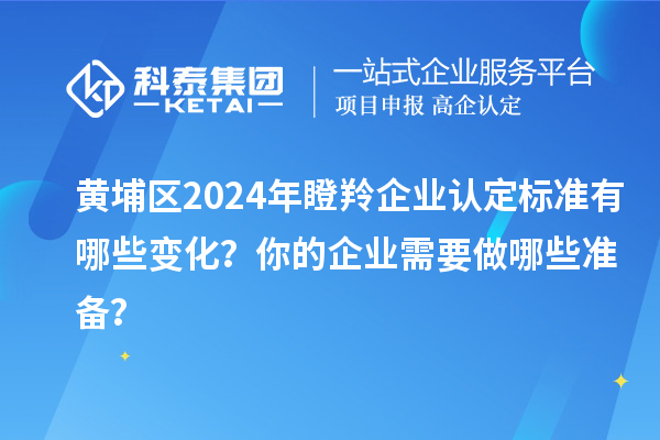 黃埔區(qū)2024年瞪羚企業(yè)認(rèn)定標(biāo)準(zhǔn)有哪些變化？你的企業(yè)需要做哪些準(zhǔn)備？