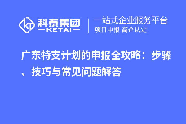 廣東特支計(jì)劃的申報(bào)全攻略：步驟、技巧與常見(jiàn)問(wèn)題解答