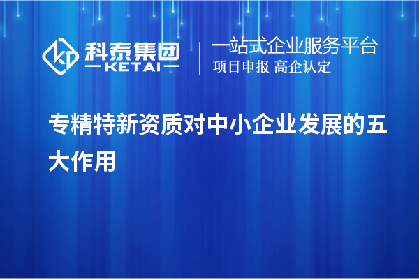專精特新資質(zhì)對(duì)中小企業(yè)發(fā)展的五大作用
