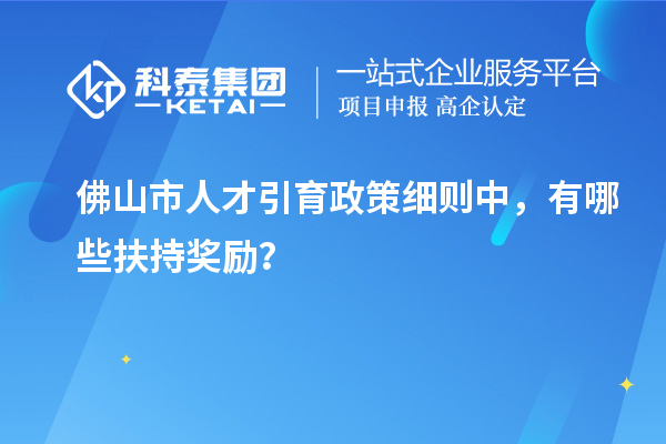 佛山市人才引育政策細(xì)則中，有哪些扶持獎(jiǎng)勵(lì)？
