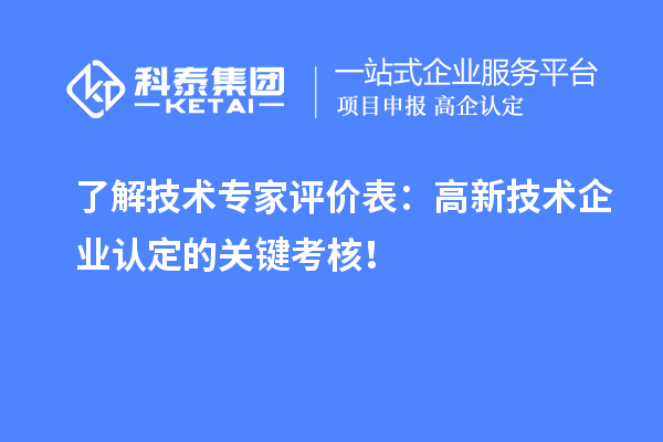 了解技術(shù)專家評價(jià)表：高新技術(shù)企業(yè)認(rèn)定的關(guān)鍵考核！