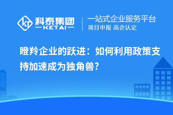 瞪羚企業(yè)的躍進(jìn)：如何利用政策支持加速成為獨角獸?
