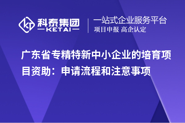 廣東省專精特新中小企業(yè)的培育項(xiàng)目資助：申請(qǐng)流程和注意事項(xiàng)