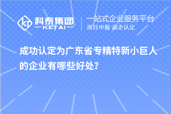 成功認(rèn)定為廣東省專精特新小巨人的企業(yè)有哪些好處？
