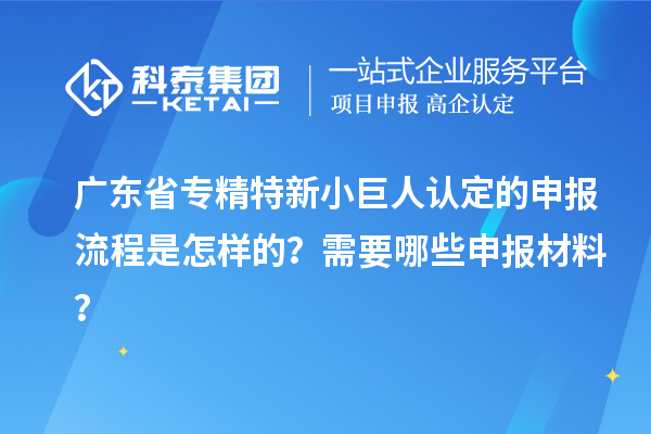 廣東省專精特新小巨人認定的申報流程是怎樣的？需要哪些申報材料？