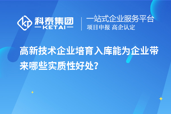 高新技術(shù)企業(yè)培育入庫能為企業(yè)帶來哪些實(shí)質(zhì)性好處？