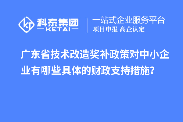 廣東省技術(shù)改造獎(jiǎng)補(bǔ)政策對(duì)中小企業(yè)有哪些具體的財(cái)政支持措施？