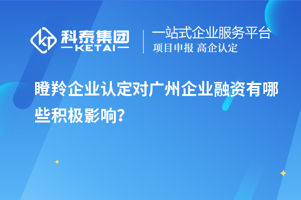 瞪羚企業(yè)認(rèn)定對廣州企業(yè)融資有哪些積極影響？