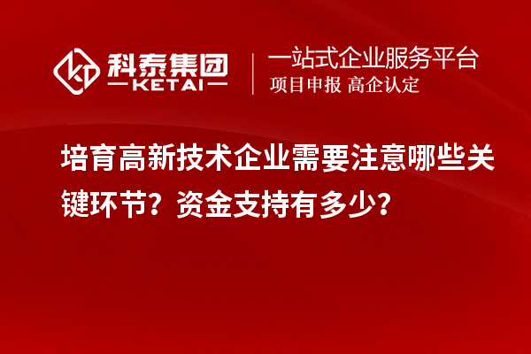 培育高新技術(shù)企業(yè)需要注意哪些關(guān)鍵環(huán)節(jié)？資金支持有多少？
