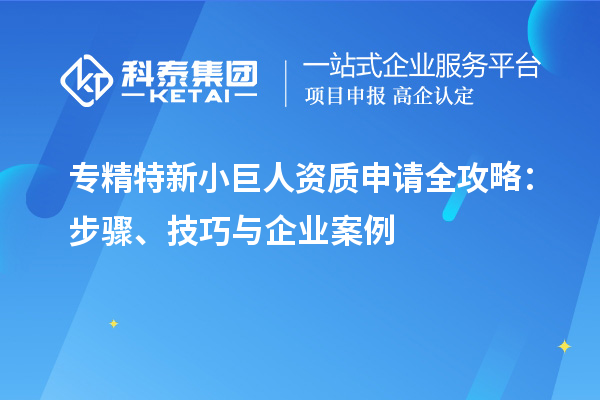 專精特新小巨人資質(zhì)申請全攻略：步驟、技巧與企業(yè)案例