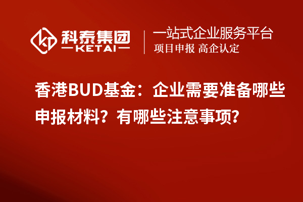 香港BUD基金：企業(yè)需要準(zhǔn)備哪些申報材料？有哪些注意事項？