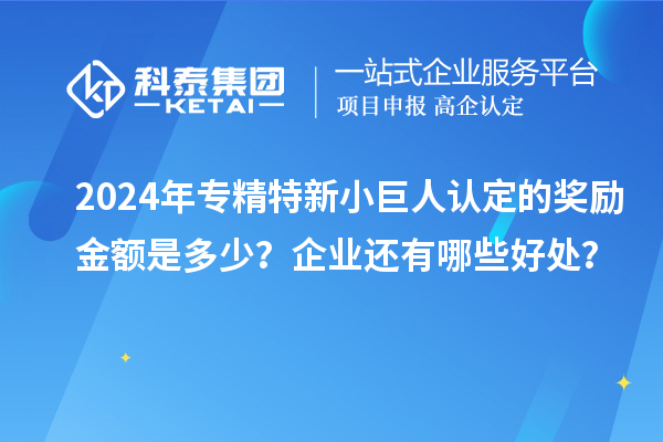 2024年專精特新小巨人認(rèn)定的獎(jiǎng)勵(lì)金額是多少？企業(yè)還有哪些好處？