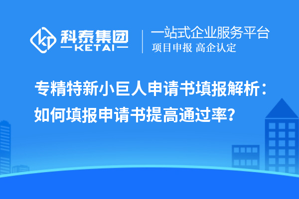 專精特新小巨人申請(qǐng)書(shū)填報(bào)解析：如何填報(bào)申請(qǐng)書(shū)提高通過(guò)率？