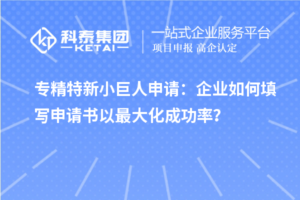 專精特新小巨人申請(qǐng)：企業(yè)如何填寫申請(qǐng)書以最大化成功率？