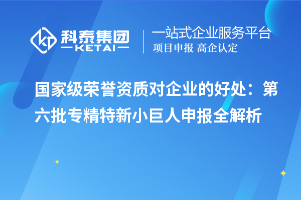 國(guó)家級(jí)榮譽(yù)資質(zhì)對(duì)企業(yè)的好處：第六批<a href=http:///fuwu/zhuanjingtexin.html target=_blank class=infotextkey>專精特新小巨人申報(bào)</a>全解析