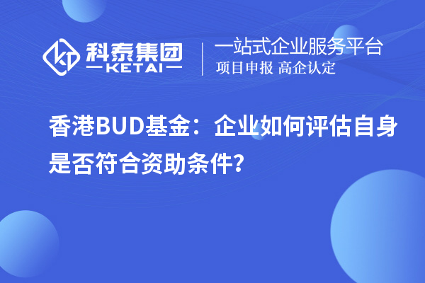香港BUD基金：企業(yè)如何評(píng)估自身是否符合資助條件？