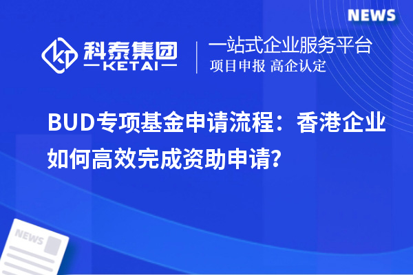 BUD專(zhuān)項(xiàng)基金申請(qǐng)流程：香港企業(yè)如何高效完成資助申請(qǐng)？