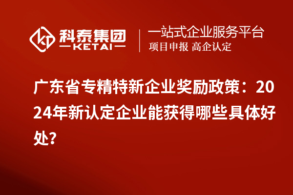廣東省專精特新企業(yè)獎(jiǎng)勵(lì)政策：2024年新認(rèn)定企業(yè)能獲得哪些具體好處？