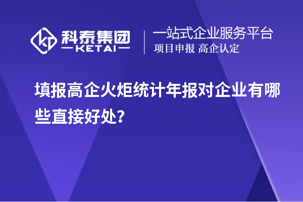  填報(bào)高企火炬統(tǒng)計(jì)年報(bào)對(duì)企業(yè)有哪些直接好處？