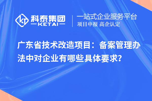 廣東省技術(shù)改造項目：備案管理辦法中對企業(yè)有哪些具體要求？