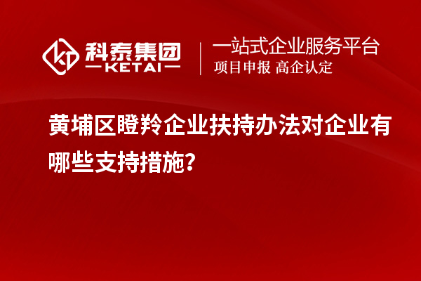 黃埔區(qū)瞪羚企業(yè)扶持辦法對企業(yè)有哪些支持措施？