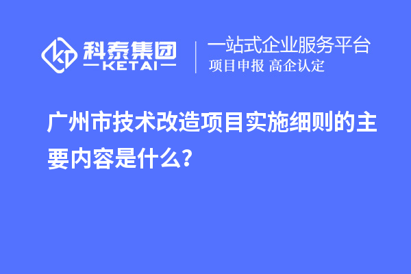 廣州市技術(shù)改造項目實施細則的主要內(nèi)容是什么？