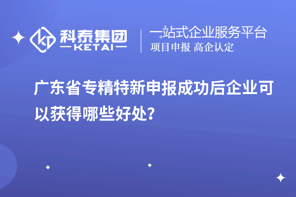 廣東省專精特新申報(bào)成功后企業(yè)可以獲得哪些好處？