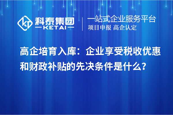 高企培育入庫(kù)：企業(yè)享受稅收優(yōu)惠和財(cái)政補(bǔ)貼的先決條件是什么？