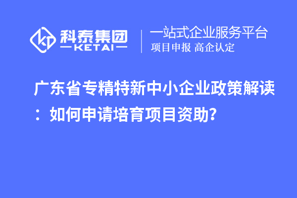廣東省專精特新中小企業(yè)政策解讀：如何申請培育項目資助？