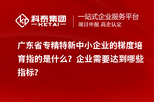 廣東省專精特新中小企業(yè)的梯度培育指的是什么？企業(yè)需要達到哪些指標？
