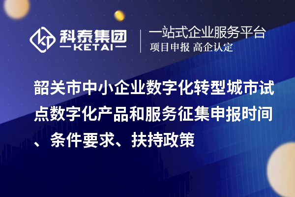 韶關(guān)市中小企業(yè)數(shù)字化轉(zhuǎn)型城市試點數(shù)字化產(chǎn)品和服務(wù)征集申報時間、條件要求、扶持政策