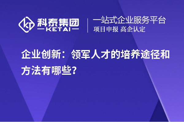 企業(yè)創(chuàng)新：領(lǐng)軍人才的培養(yǎng)途徑和方法有哪些？